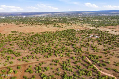 TBD Silver Lake Blvd 16 32 Acres -- unit L & N, Show Low, AZ 85901 - photo 4