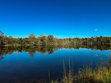 0 Bill Dexter Rd unit LotWP001 24537982, West Point, MS 39773 - photo 7