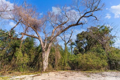 3-web-or-mls-BTS04451