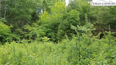 Mostly cleared lot