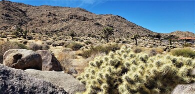 7900 Wesley Rd, Joshua Tree, CA 92252 - photo 3