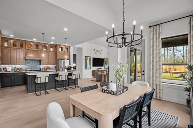 18618 Rumba Ct, Conroe, TX 77302 - photo 6