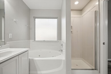 Nice sized soaking tub.