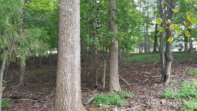 LOT 76 Cove Point Trail, Moneta, VA 24121 - photo 4