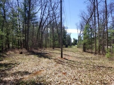 VL M-37 (Woodbridge), Bitely, MI 49309 - photo 4