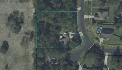 160 Magnolia Ridge, Crawfordville, FL 32327 - photo 2