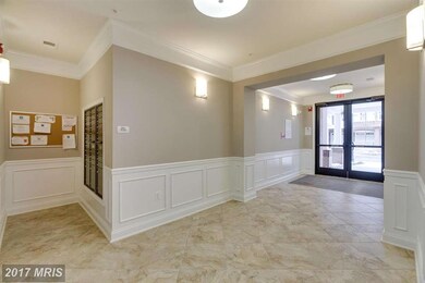 24660 Woolly Mammoth Terrace unit 207, Aldie, VA 20105 - photo 3