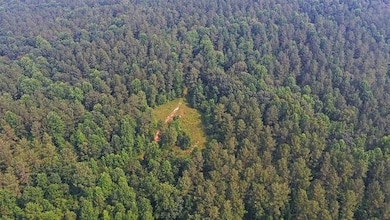 1054 Mount Sinai Rd, Lula, GA 30554 - photo 7