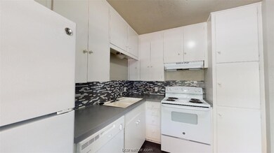 3800 E 29th St unit 4, Bryan, TX 77802 - photo 7