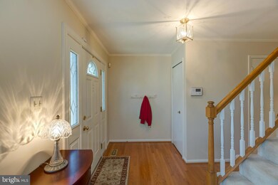 7940 Forest Path Way, Springfield, VA 22153 - photo 6