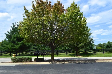 8021 Aspen Glen Dr unit 8021, Louisville, KY 40228 - photo 4