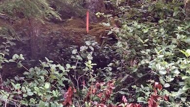 7666 Hwy 101 2