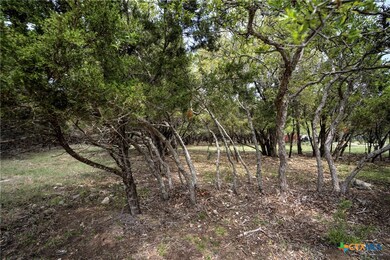 15920 Charlya Dr, Temple, TX 76502 - photo 7