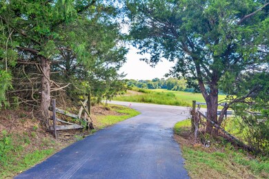 Driveway Entrance