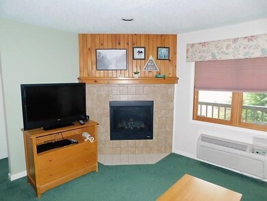 164 Deer Park Dr unit 167 A, Woodstock, NH 03262 - photo 7