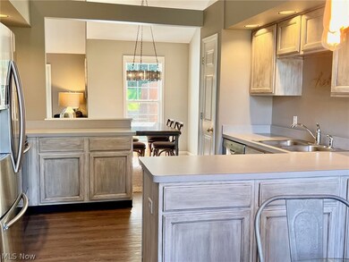 579 Daleview Dr unit 47, Aurora, OH 44202 - photo 6