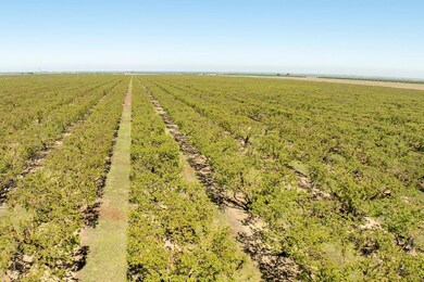 0 W Hamilton Rd unit 225033284, Westley, CA 95387 - photo 6