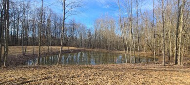 4843 E County Road 600 N, Sunman, IN 47041 - photo 4