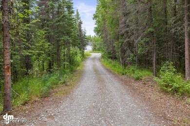 43-Driveway_DMD_5424_1