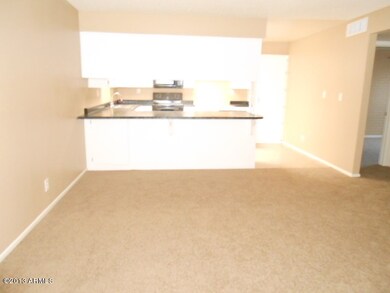 141 N Date unit 8, Mesa, AZ 85201 - photo 4