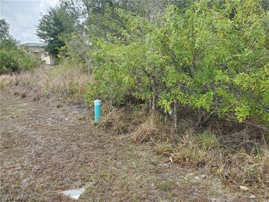 219 Magellan St, Fort Myers, FL 33913 - photo 4