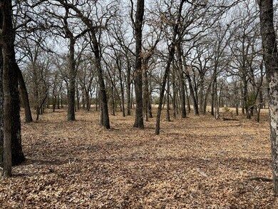 612 Roy Coffee Ct, Weatherford, TX 76087 - photo 3