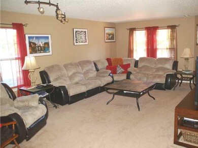 Living Room. Large Living Room