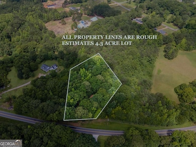 1304 Broadnax Mill Rd, Loganville, GA 30052 - photo 4