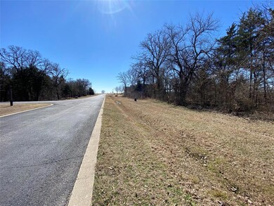 LOT 88A Stonewolf Ct, Gordonville, TX 76245 - photo 4