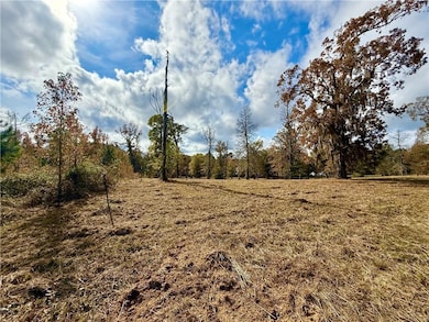 0 Hardwater Lake Rd, Pollock, LA 71467 - photo 4