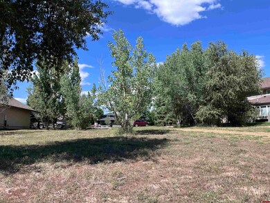 646 Horse Thief Ln, Durango, CO 81301 - photo 5