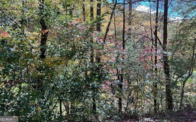 TR 1 Tusquittee Rd, Hayesville, NC 28904 - photo 7