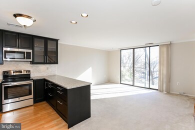 947 S Scott St unit 2, Arlington, VA 22204 - photo 2