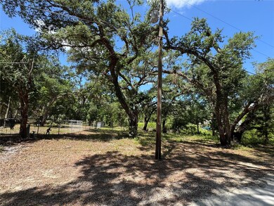 0 Turtle St unit MFRTB8377054, Ridge Manor, FL 33523 - photo 4