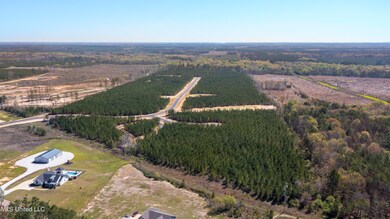 Freedom Ridge 24-31-4