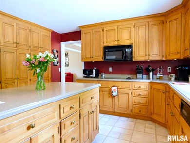 5711 W Rachael Ct, Peoria, IL 61615 - photo 5