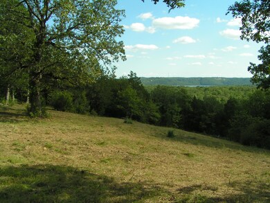 Lot 12 Bartels Subdivision, Kimberling City, MO 65686 - photo 7