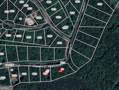 101 Douglas Fir Dr, Waleska, GA 30183 - photo 2