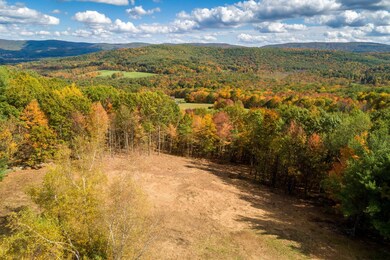 0 Deer Ridge Rd unit 202030495, Chatham, NY 12060 - photo 3