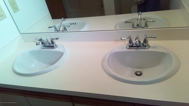 Master Bathroom Vanity