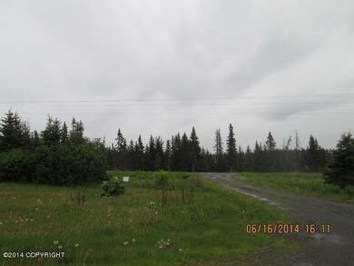70875 Warren Rd, Anchor Point, AK 99556 - photo 7
