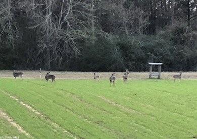 28301 A New Hope Church Rd, Robertsdale, AL 36567 - photo 4