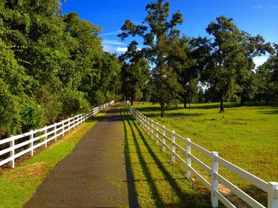 399 Wakulla Arran Rd, Crawfordville, FL 32327 - photo 2