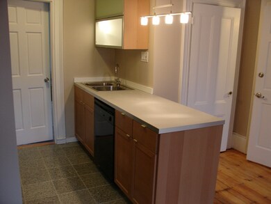 25 E Concord St unit 3, Boston, MA 02118 - photo 5