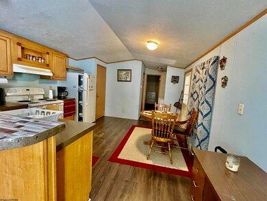 50 Boswell St, Tunnelton, WV 26444 - photo 6