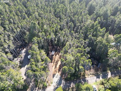 0 E Jupiter Ln unit 1202 738205258, Bandon, OR 97411 - photo 4