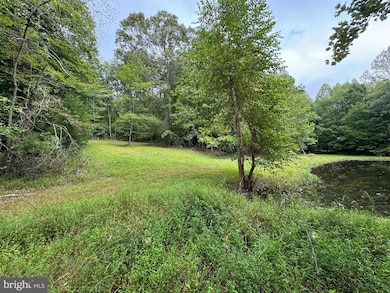 Lot 0110 Mountain Track Rd, Orange, VA 22960 - photo 3