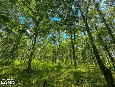 0 Peach Orchard Rd, Brent, AL 35034 - photo 5