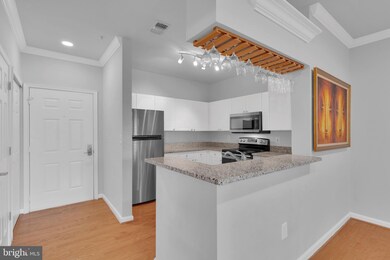 4551 Strutfield Ln unit 4110, Alexandria, VA 22311 - photo 7