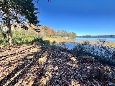 0000 Amber Lake Rd W unit Lot 3, Lac Du Flambeau, WI 54538 - photo 3